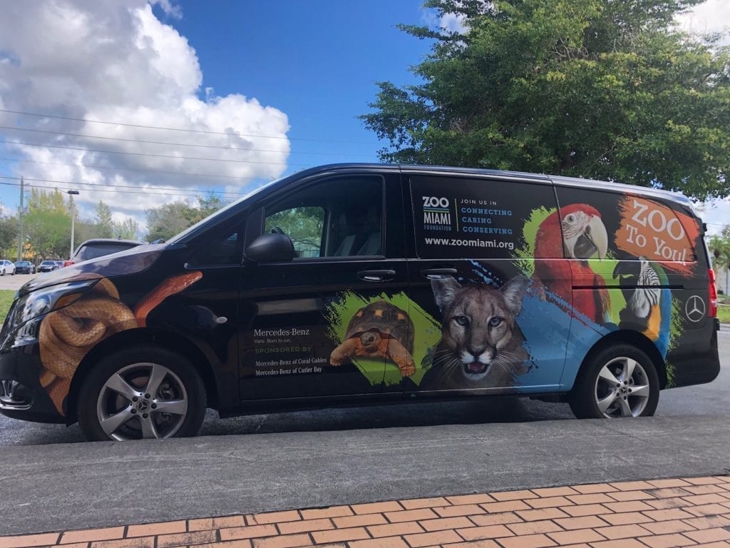 delivery van vehicle wraps fantasea media with photography zoo animals