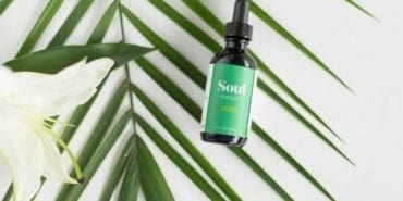 how to manage a cbd brand by fantasea media